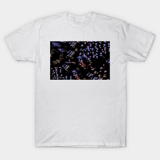 Mystery Two T-Shirt